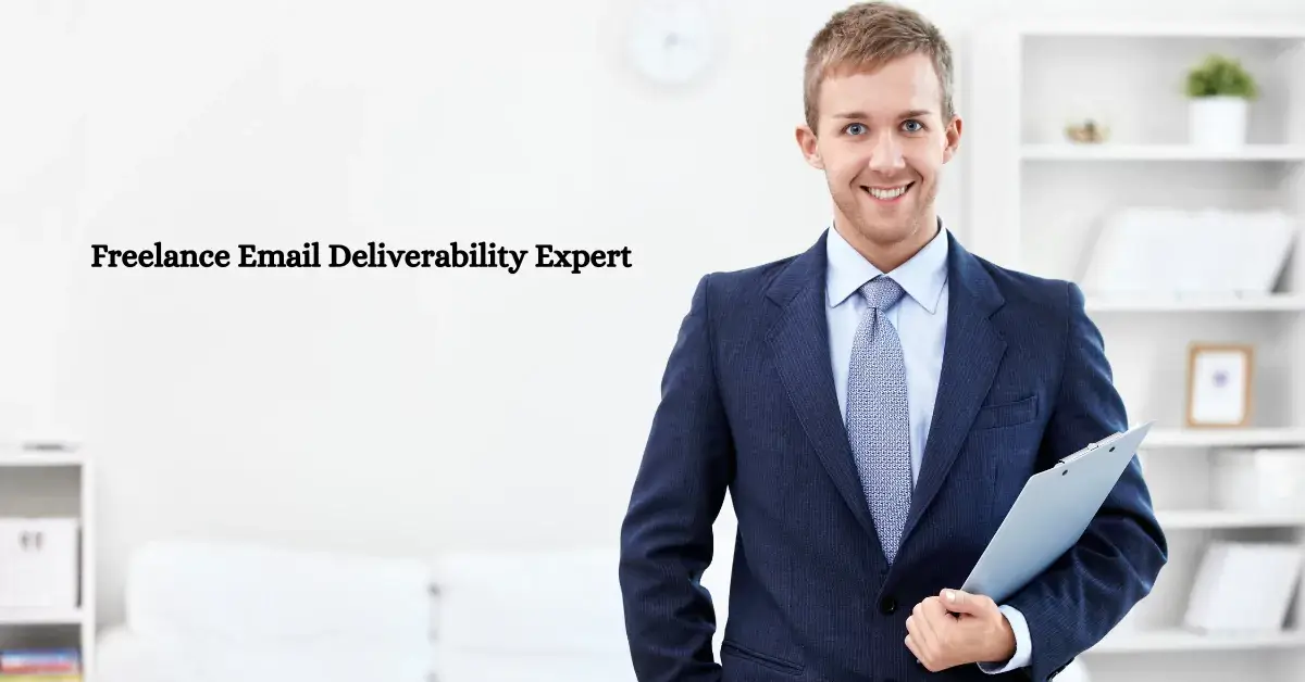 Email Deliverability Consultant